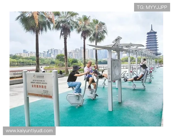 全面解析KY体育登录官网流程与操作指南，轻松畅享体育赛事