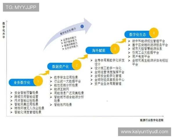 探讨开云入口平台在数字化转型中的关键作用